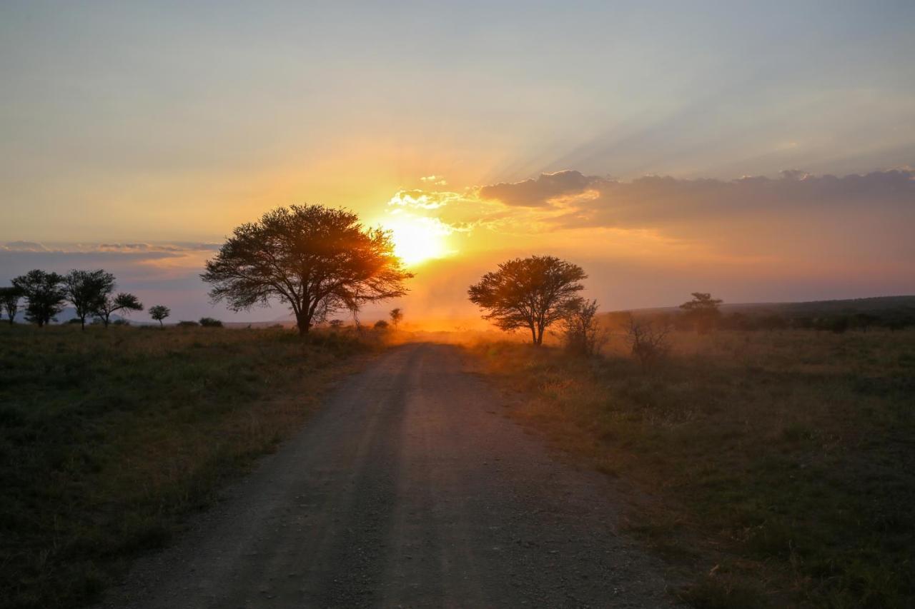 Osero Serengeti Luxury Tented Camp Banagi エクステリア 写真